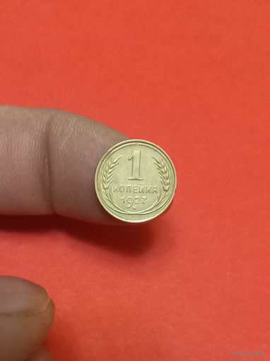 1 копейка 1927г (1)