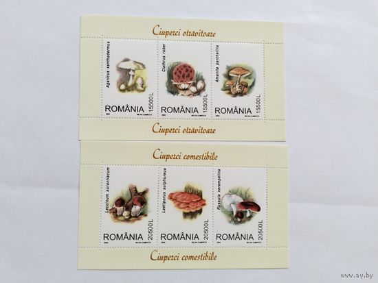 Румыния  2003    2 бл. грибы