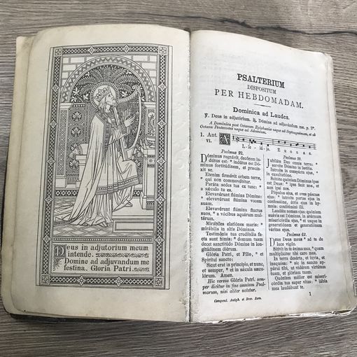 Gompendium. 1892г.