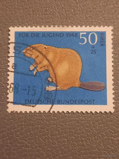 ФРГ 1968. Бобер. Марка из серии