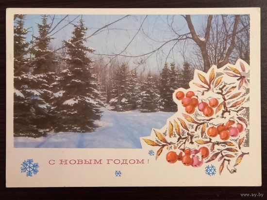 Раскин Ахмедов С Новым годом 1975 г. Открытка СССР