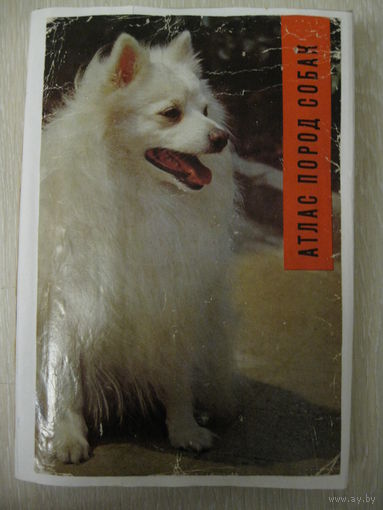 Найман Новотны "Атлас пород собак". Прага.1979г.