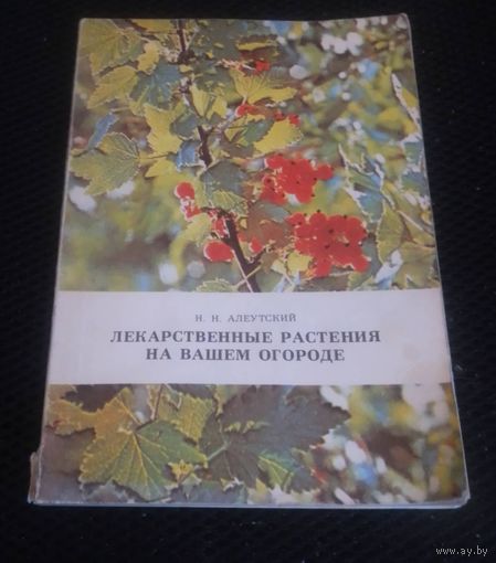 Лекарственные растения на вашем огороде