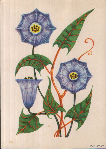 Чистая открытка Польша "Кобея" худ. Галина Миссунова