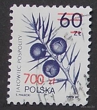 Польша 1990 стандарт, флора, ягоды 3269 гаш