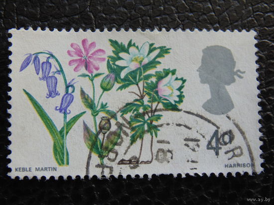 Англия 1967. Флора.