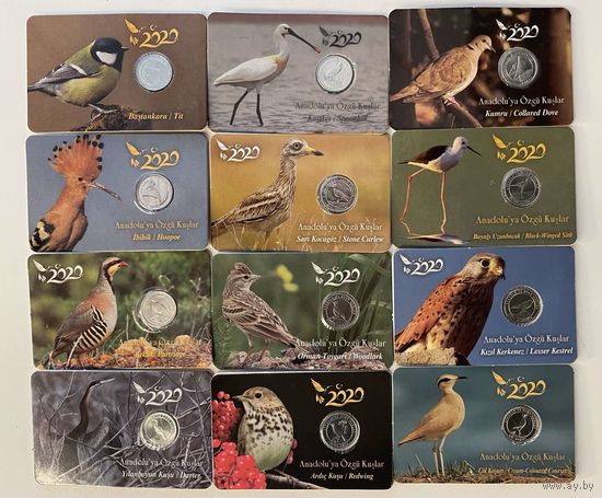 Турция 1 куруш 2020 Анталийские птицы набор 12 монет тираж 5000 шт UNC в блистерах