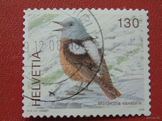 Швейцария. 2008 г. Птицы.