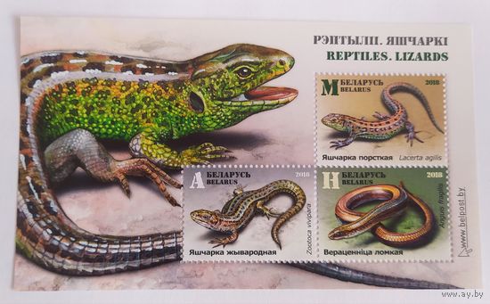 Беларусь 2018, Ящерицы