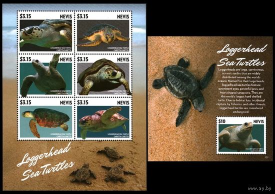 2015 Невис 3050-3055KL+B371 Морская фауна - Черепахи 26,00 евро