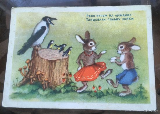 1954 год Н.Ушакова Танцевали польку зайки