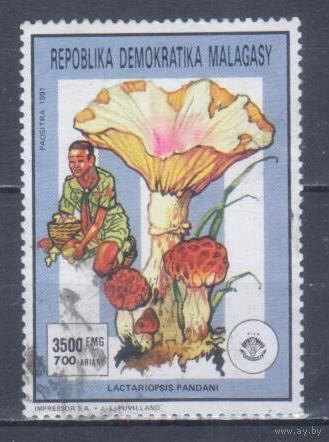 [1631] Мадагаскар 1991. Грибы. Высокий номинал.Концовка серии. Гашеная марка.