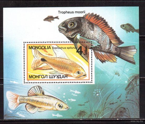 Монголия-1987,(Мих.Бл.118)  **  , Фауна, Рыбы