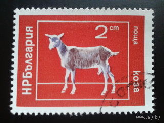 Болгария 1974 коза