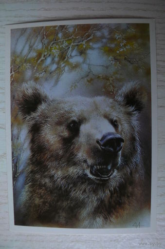 Исаков А., Медведь; 1989, чистая.