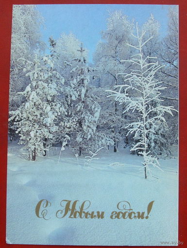 С новым годом! Чистая. 1989 года. Фото Буркина. 862.