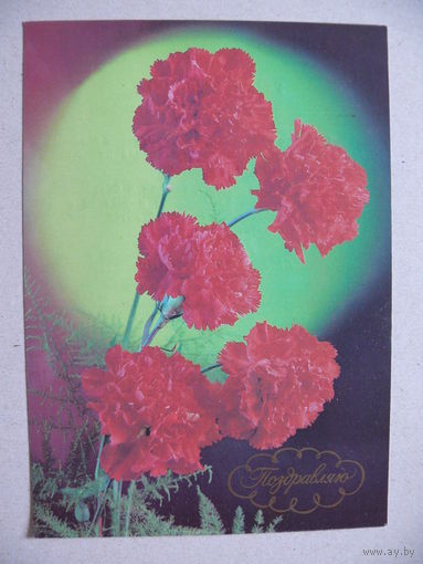 Костенко Г., Поздравляю! 1988.
