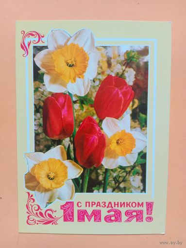 Открытка Гордеев,1977 чистая