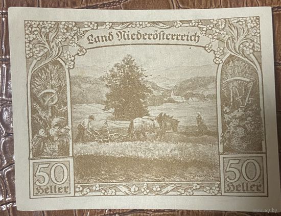 Нотгельд Австрия Ниедестерейх 50 геллеров 1920 год