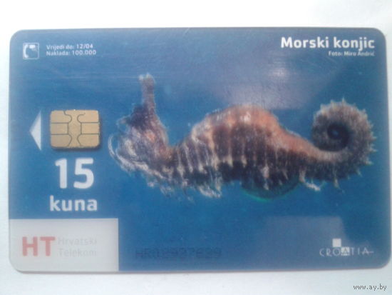 Хорватия Морской конек