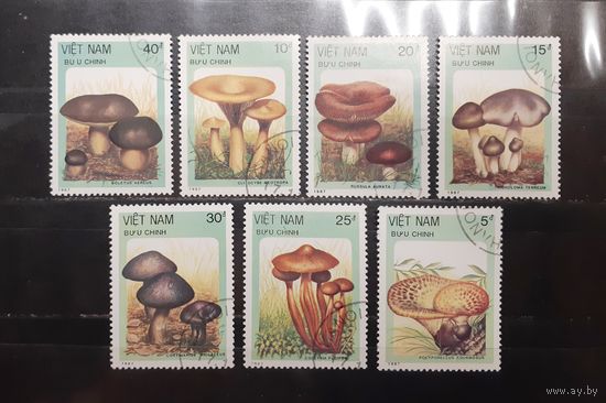 Вьетнам. 1987 год. Флора. Грибы (954)