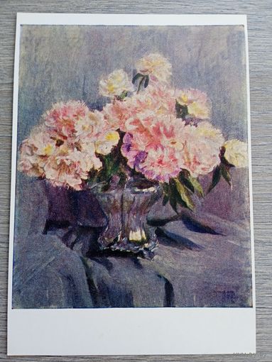 1960. Малютина. Пионы