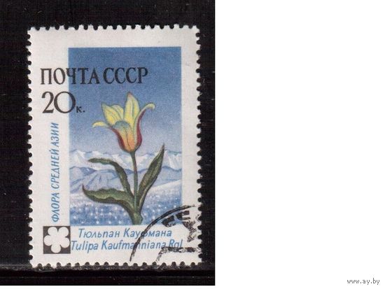 СССР-1960, (Заг.2409), гаш.(с клеем) , Флора, Цветы