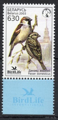 Беларусь 2003. Птица года. Воробей 1 марка (259)