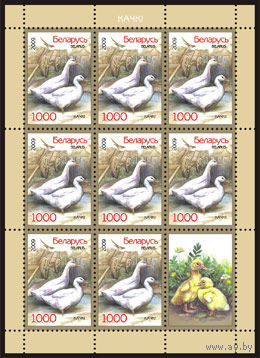 Малые листы "Утки (8м + купон)", "Гуси (8м + купон)"