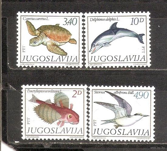 ФФ1 Югославия 1980 Фауна