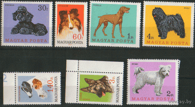 ВЕН. М. 2337/43. 1967. Собаки. ЧиСт.