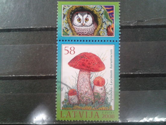 Латвия, 2008. Подосиновик с купоном сова