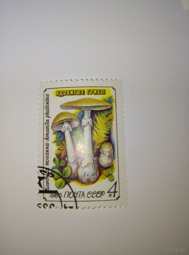 Марки СССР 1986 г. Ядовитые грибы Бледная поганка 4к.
