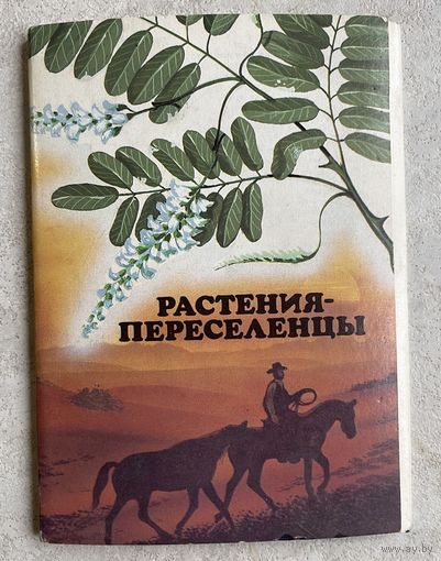 Открытки