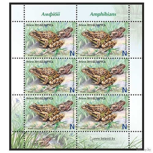 2015г Беларусь MNH  Малый лист "Лягушка травяная"