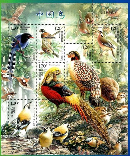 Китай  2008- Птицы Китая фауна дикие животные фазан марки блок ** MNH