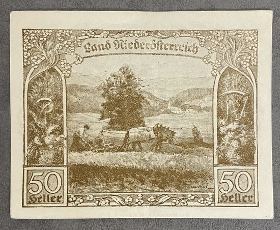 Нотгельды Австрия Ниедостерейх 50 геллеров 1920 год