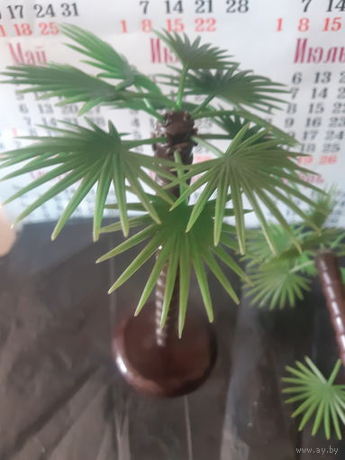 Пальма СССР сувенир