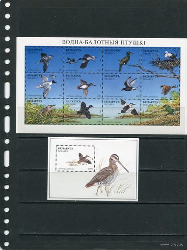 Беларусь 1996. Фауна. Водно-болотные птицы
