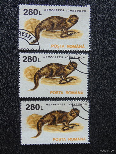 Румыния 1993 г. Фауна. Одна, нижняя.