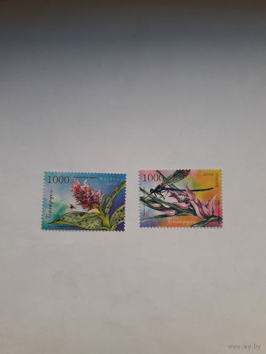 Марки Беларусь 2006 Орхидеи