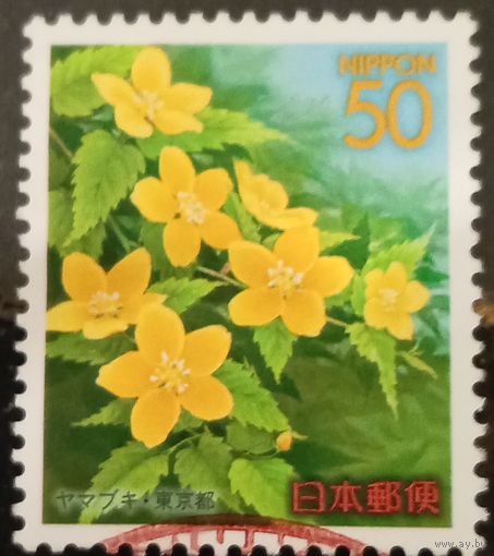 Япония. Флора. Цветы