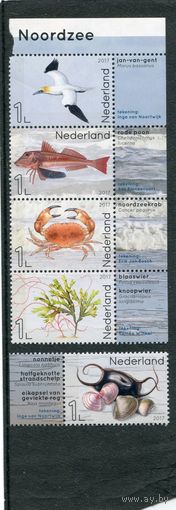 Нидерланды. Фауна Северного моря