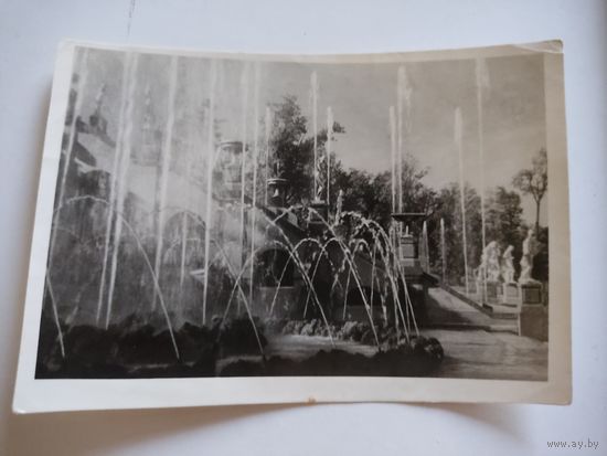 Почтовая карточка "Петродворец. Фонтан "Корзинка",1954г.