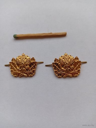 2 эмблемы Лесная охрана РФ, разные.