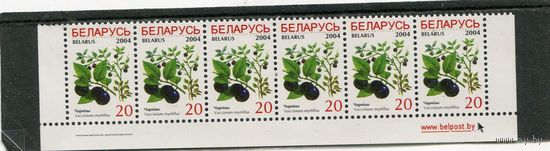 Беларусь 2004. Стандарт. Ягоды. Черника. Нижняя сцепка листа