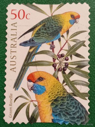 Австралия 2005. Фауна. Птицы. Попугаи. Green Rosella