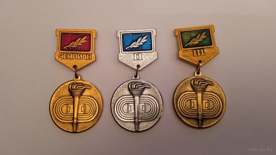 Спартакиада фрунзенского р-на г.Минска Чемпион