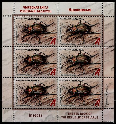 Беларусь 2016 #1109. Малый лист Насекомые. Решетчатая жужелица (6A)