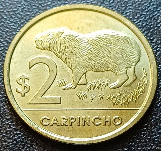 Уругвай 2 песо, 2024    ( 2-1-7 )